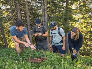 Randonnée aux herbes