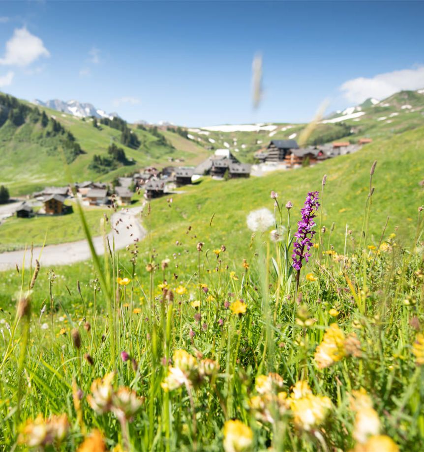 Das Dorf Les Crosets im Sommer